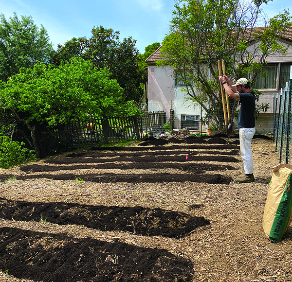 Strategies for farming in clay